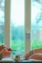 Nonton Film Prisma Season 1 Episode 2 Terbaru Nonton Film Prisma Season 1 Episode 2 Terbaru