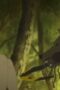 Nonton Film The Fire Hunter Season 2 Episode 1 Terbaru Nonton Film The Fire Hunter Season 2 Episode 1 Terbaru