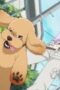 Nonton Film Dog Signal Season 1 Episode 1 Terbaru Nonton Film Dog Signal Season 1 Episode 1 Terbaru