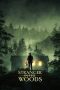 Nonton Film Stranger in the Woods (2024) Terbaru Nonton Film Stranger in the Woods (2024) Terbaru