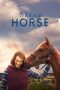 Nonton Film Dream Horse (2021) Terbaru Nonton Film Dream Horse (2021) Terbaru
